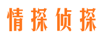 蒙阴找人公司